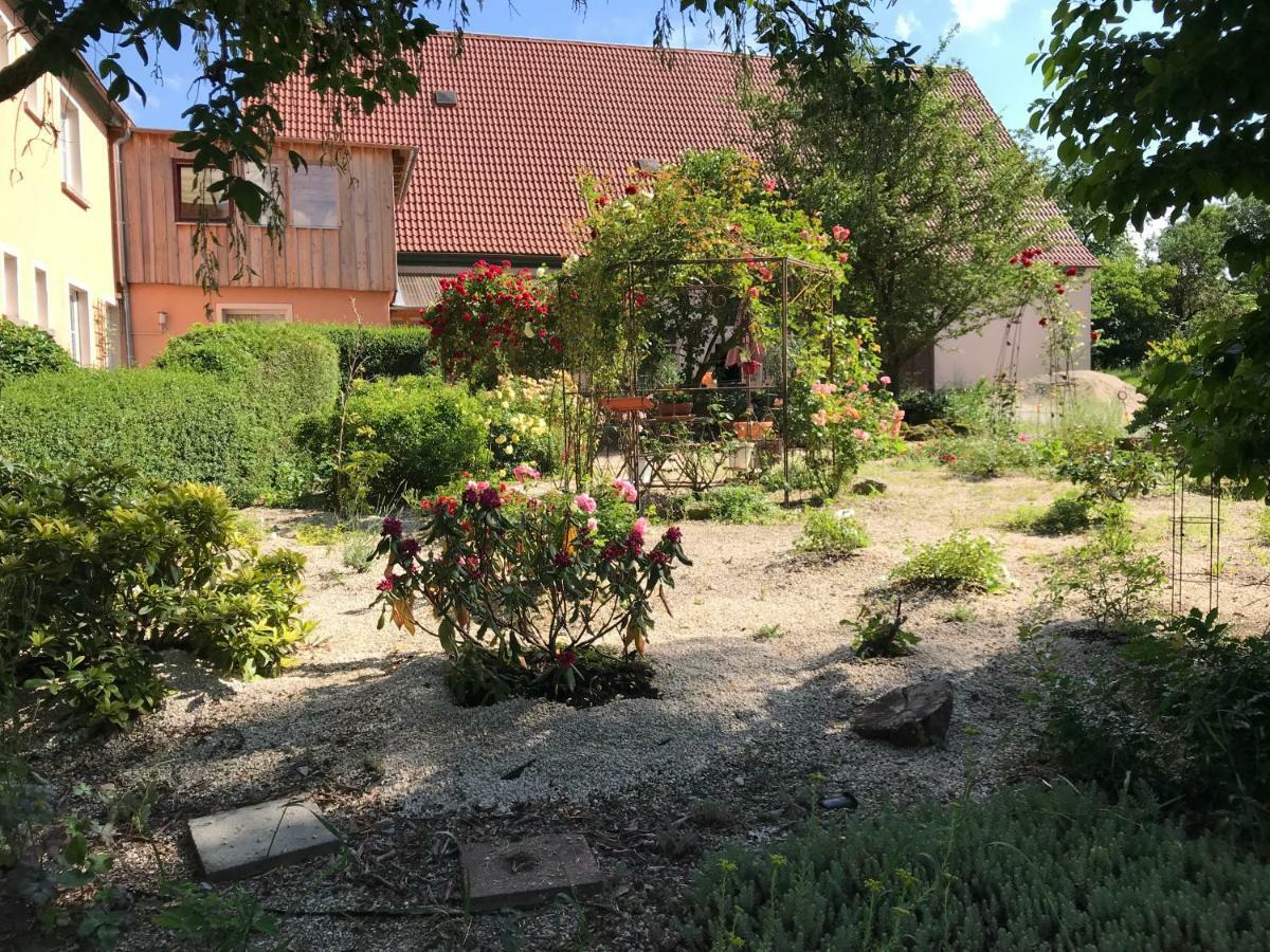 Appartment Ivonete Wettringen  Buitenkant foto
